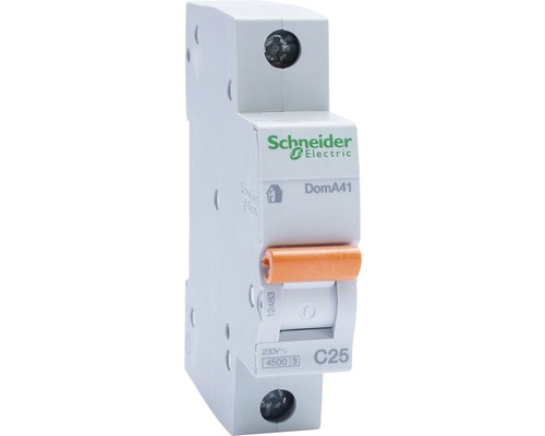 [R9F32125] قاطع تيار احادى 25 امبير 4.5 ك شنيدر